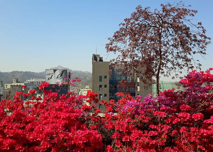 Hotel Rian Seúl